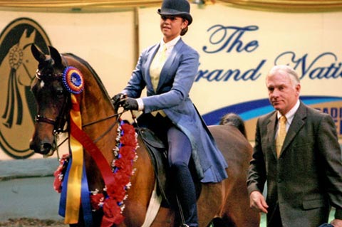 Lessons, Arcuri Stables in Springfield, Oregon